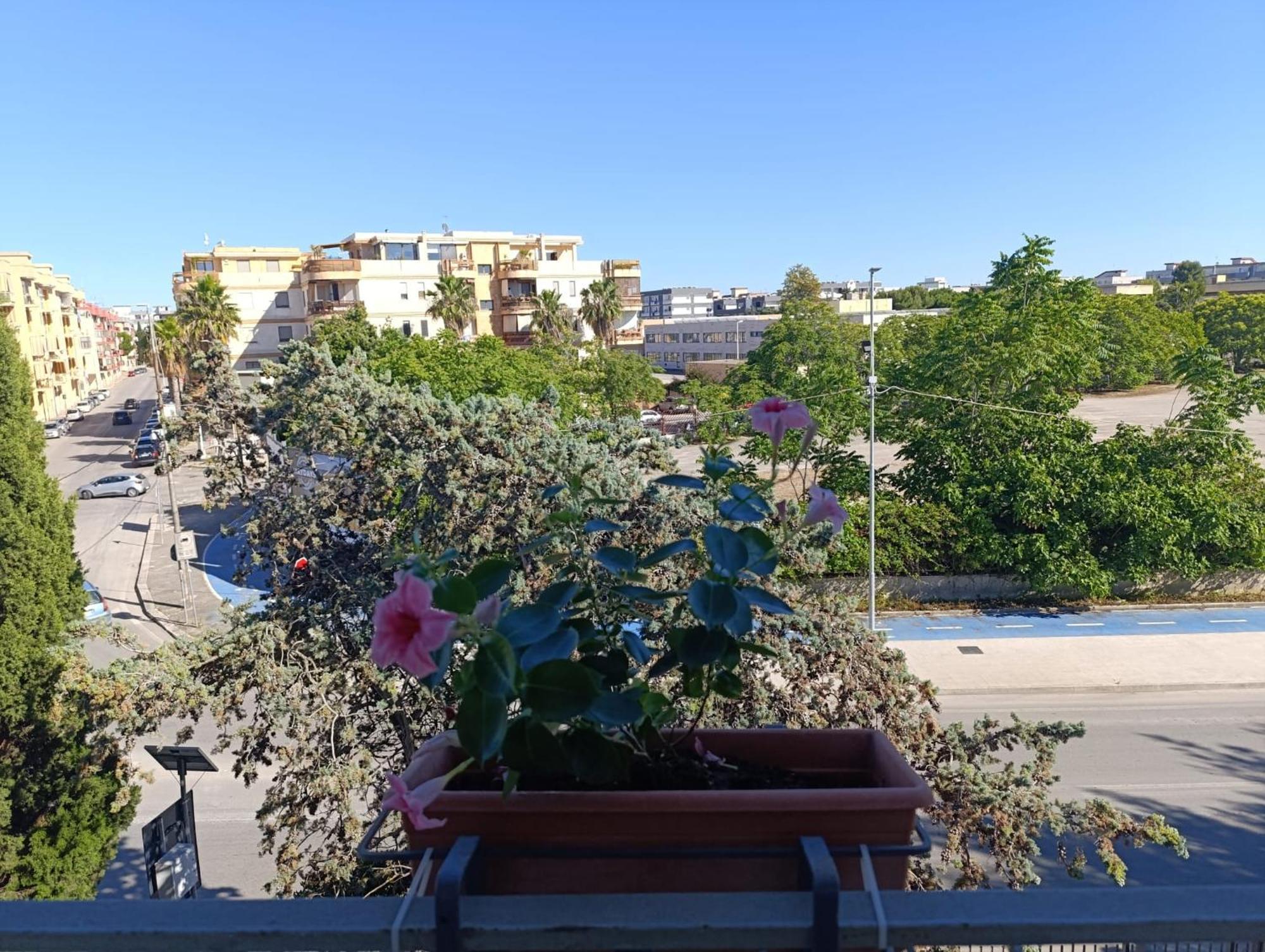 Appartement Le Rondini à Trani Extérieur photo